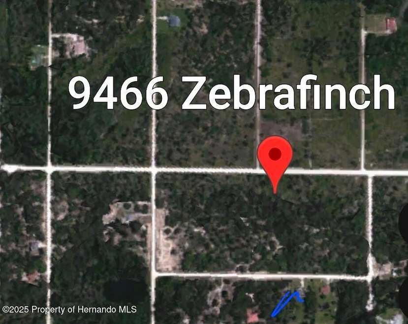 09466 Zebrafinch Ave, Brooksville, FL 34614 - photo 1