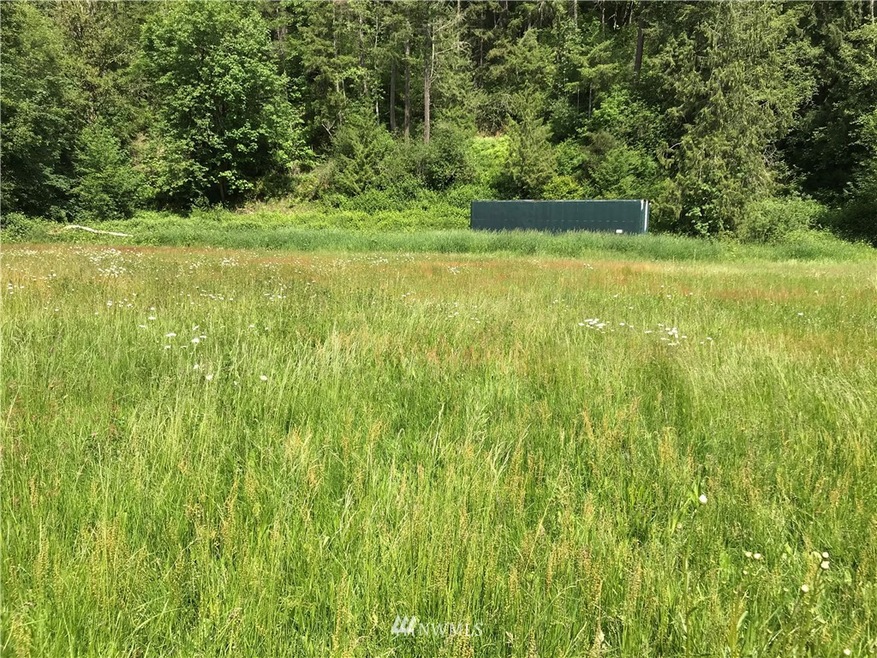 unlisted-address, Orting, WA 98360 - photo 1