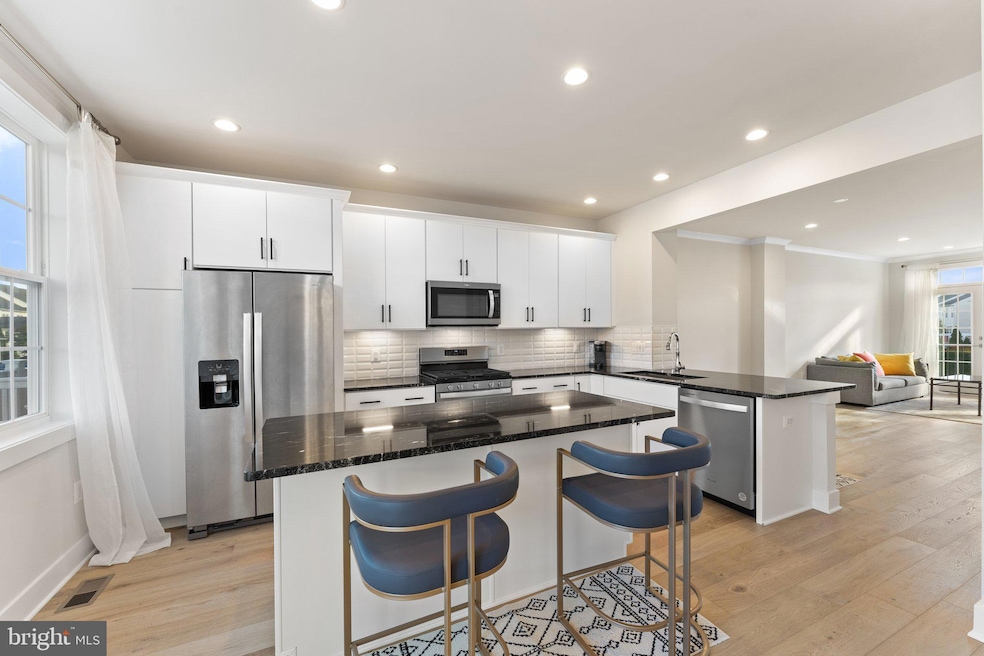 23147 Dunlop Heights Terrace, Ashburn, VA 20148 - photo 1