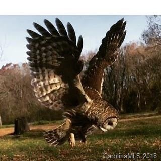 Beautiful wildlife to be seen