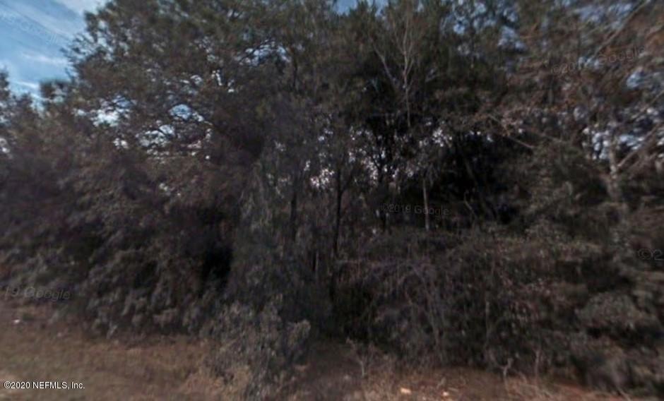 Annotation 2020-07-15 115840 squirrel tr
