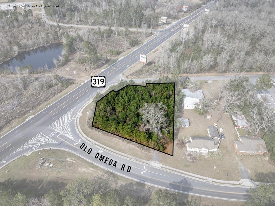- Us Highway 319 S @ Old Omega Rd, Tifton, GA 31794 - photo 1