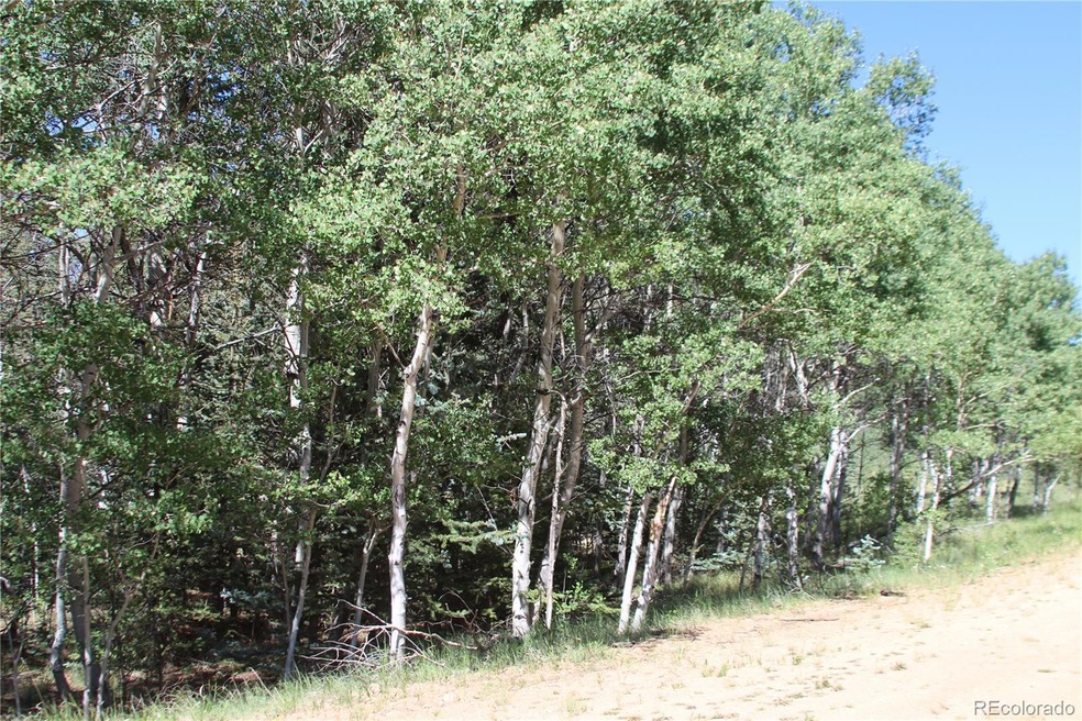 102 Kiwi Ct, Jefferson, CO 80456 - photo 1