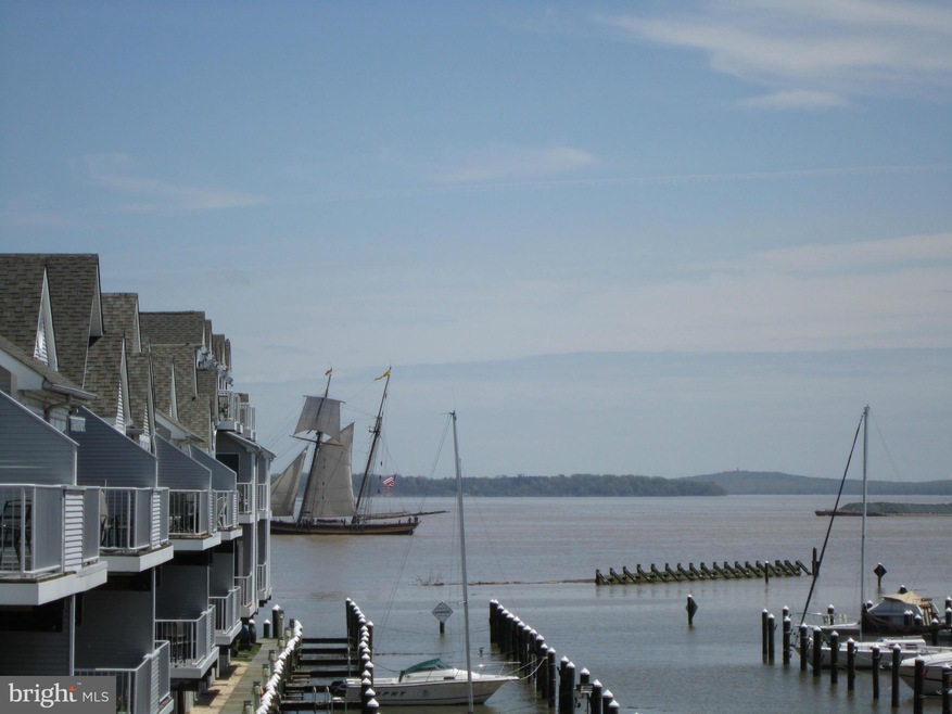 313 Red Head Way unit B, Havre de Grace, MD 21078 - photo 1