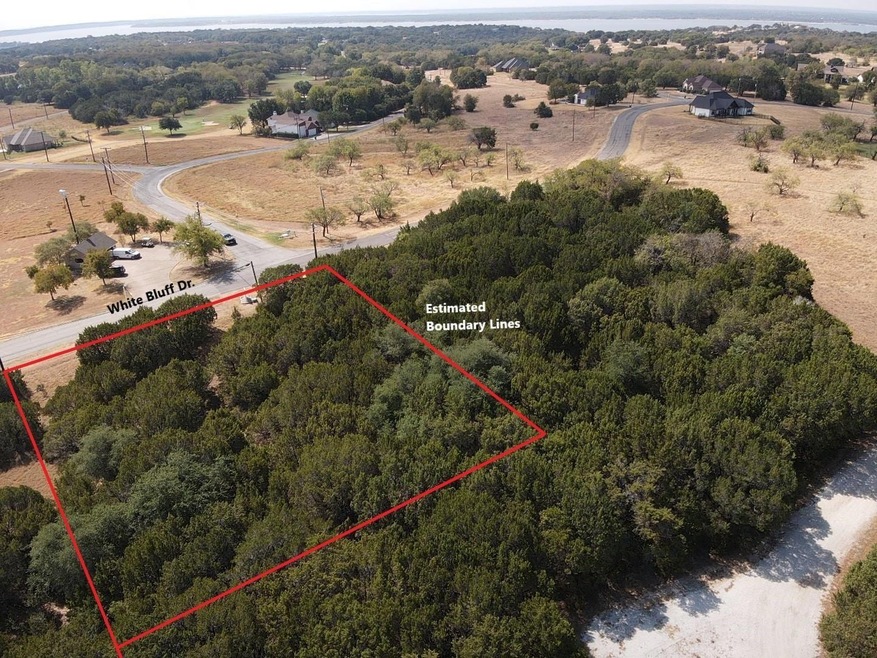 19139 White Bluff Dr, Whitney, TX 76692 - photo 1