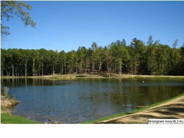 Fabulous stocked pond