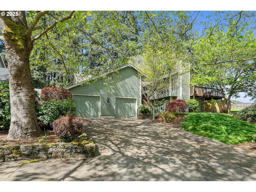Front Yard
