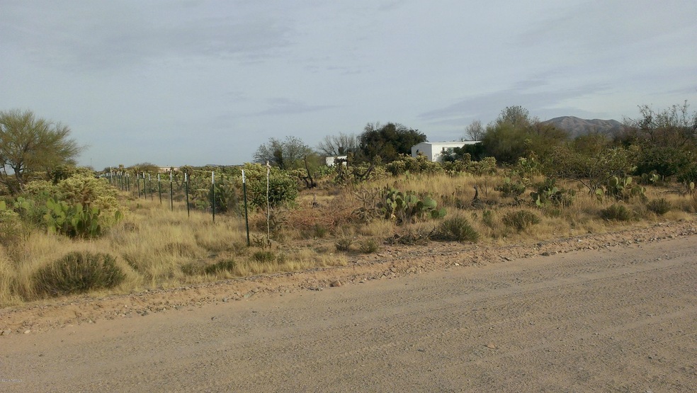 IMAG0055