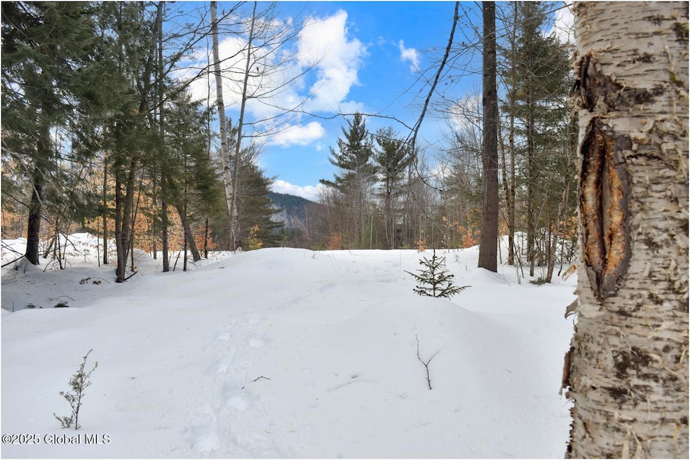 L87 Highview Ln unit Lot 3, Wevertown, NY 12886 - photo 1