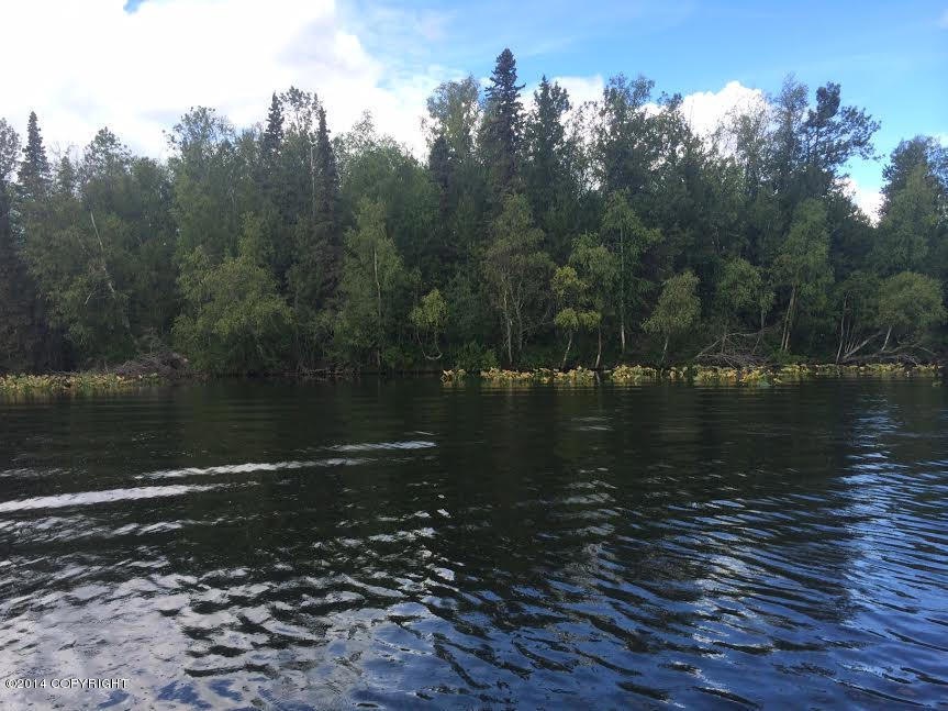 From the Lake