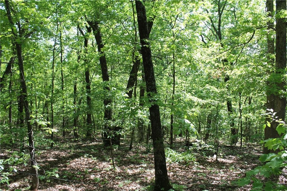 unlisted-address, Elkins, AR 72727 - photo 1