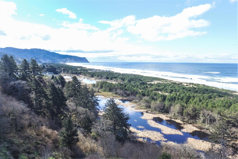 Cascade Head View