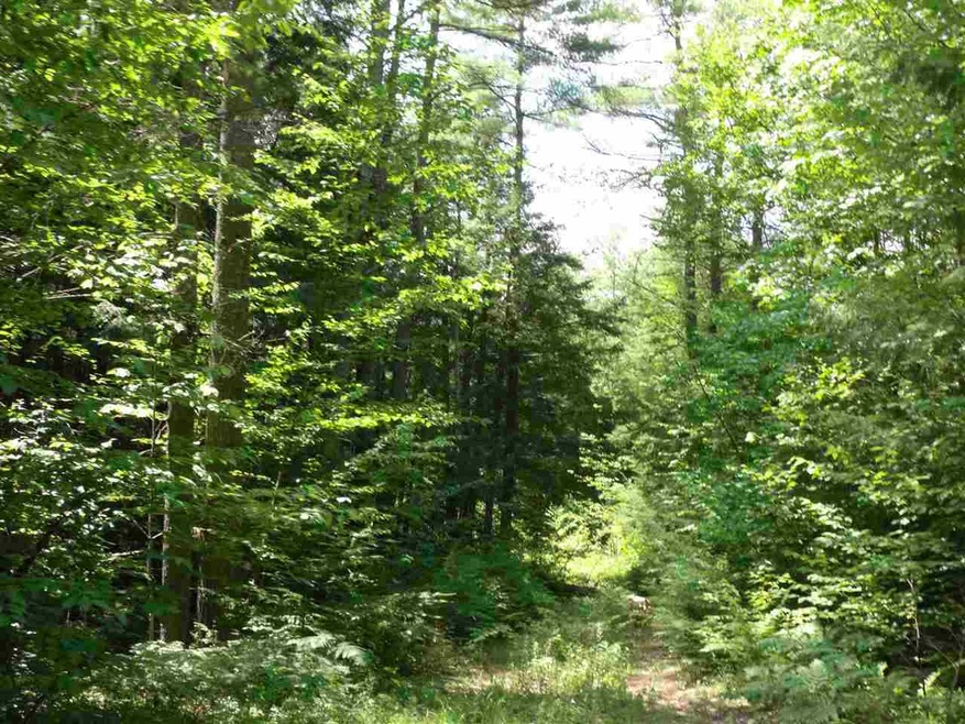 L06 County Rd, Dunbarton, NH 03046 - photo 1