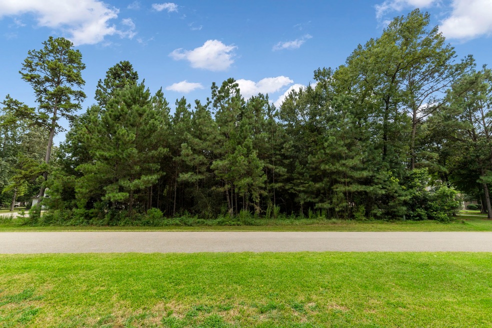 4106 Calvert Cove Ct, Spring, TX 77386 - photo 1