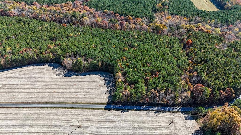 5661 Longview Dr, Kenbridge, VA 23944 - photo 1