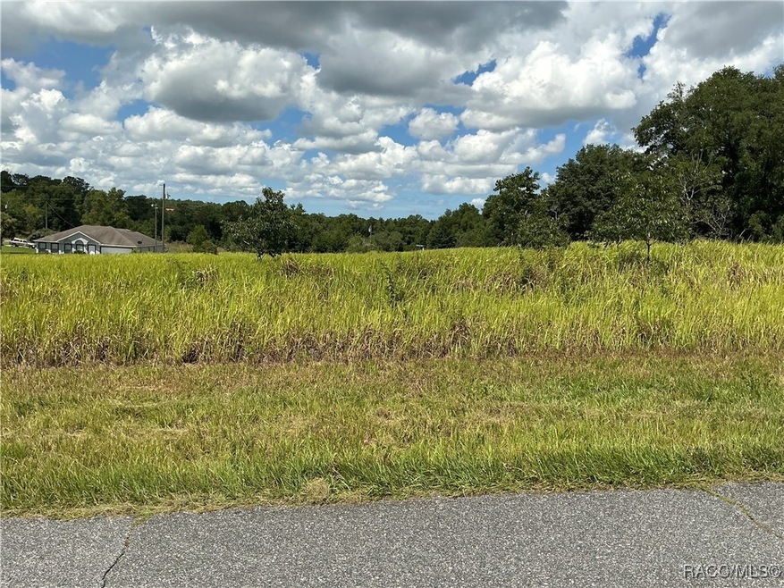 7870 N Merrimac Way, Citrus Springs, FL 34434 - photo 1