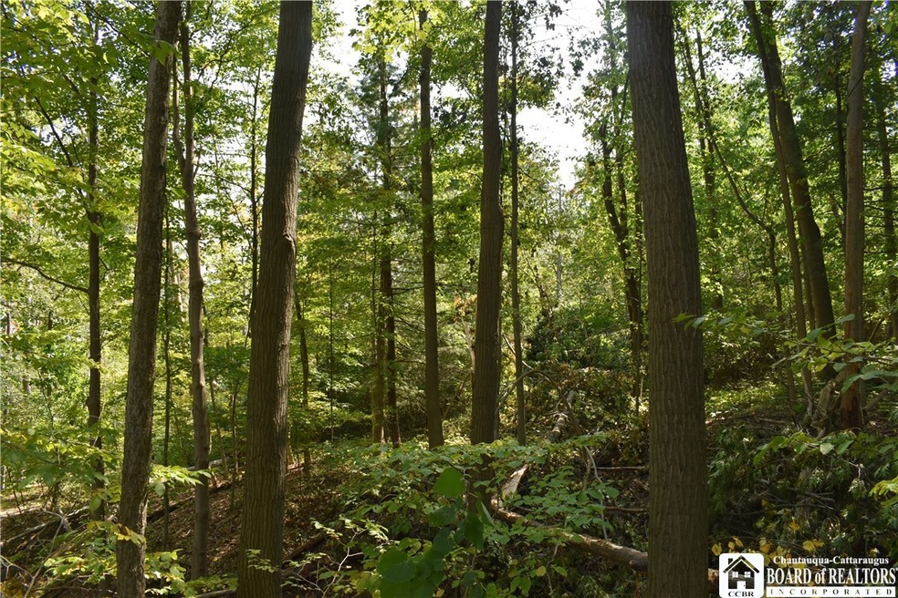 0 Route 380 unit R1636418, Ellicott, NY 14701 - photo 1