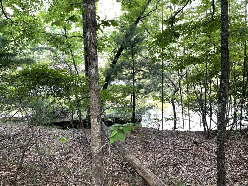 4917 Fox Run Rd, Gainesville, GA 30506 - photo 1