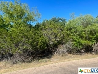 15962 Salado Dr, Temple, TX 76502 - photo 1