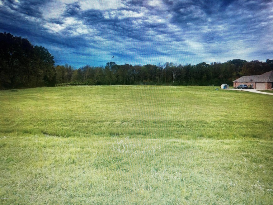 404 Hwy 1252, Carencro, LA 70520 - photo 1