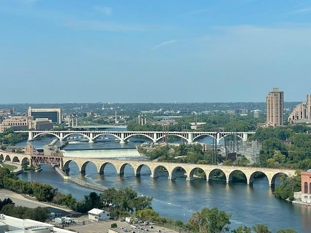 1920 S 1st St unit 2302, Minneapolis, MN 55454 - photo 1