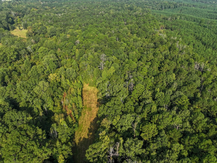 0 Bethesda Rd unit 24909841, Crystal Springs, MS 39059 - photo 1