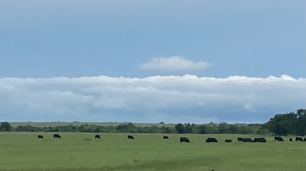 Sold $196,875 • Co-Listing Agent