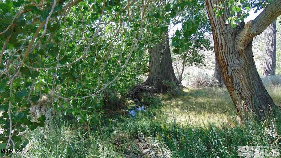 00429110 Sutro Springs Rd unit 4-291-10, Dayton, NV 89403 - photo 1