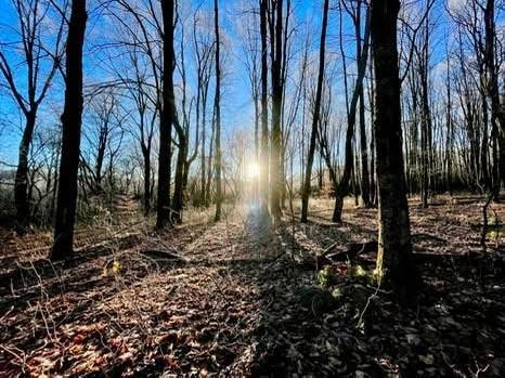 00 Town Line Rd, McGraw, NY 13101 - photo 1