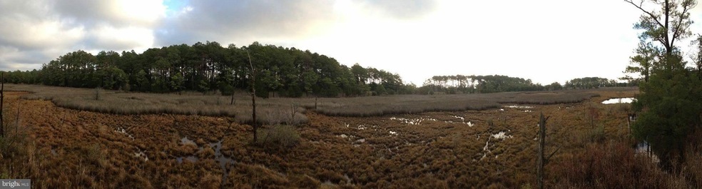 0 Tedious Creek Rd unit 1000100997, Toddville, MD 21672 - photo 1