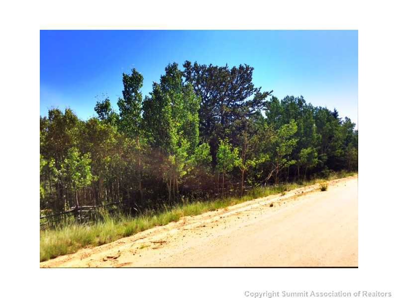 Land/Lot.
