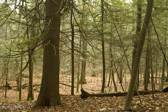 unlisted-address, Egremont, MA 01230 - photo 1