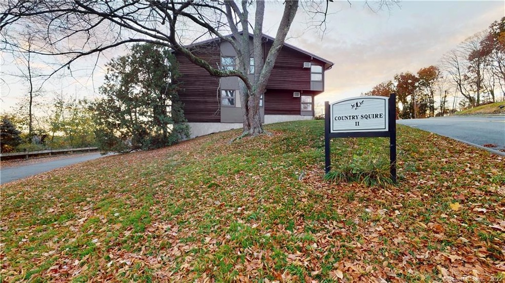 123 Country Squire Dr unit D, Cromwell, CT 06416 - photo 1