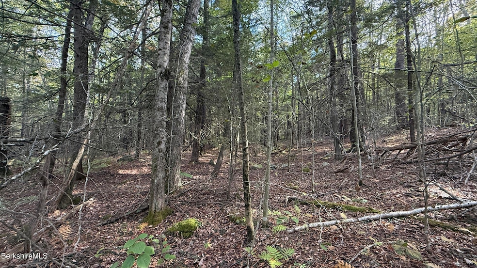 For Sale $21,000 • Co-Listing Agent