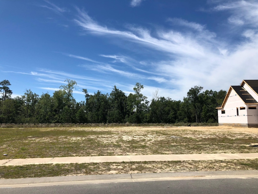 1234 Cross Water Cir, Leland, NC 28451 - photo 1