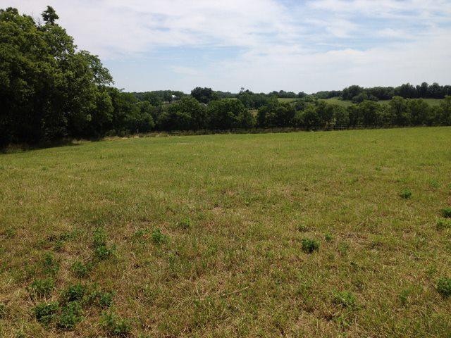 2020 Boonedale Ln, Versailles, KY 40383 - photo 1