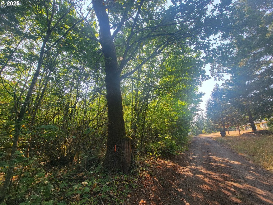 0 Finn Rd unit 591691188, Sheridan, OR 97378 - photo 1