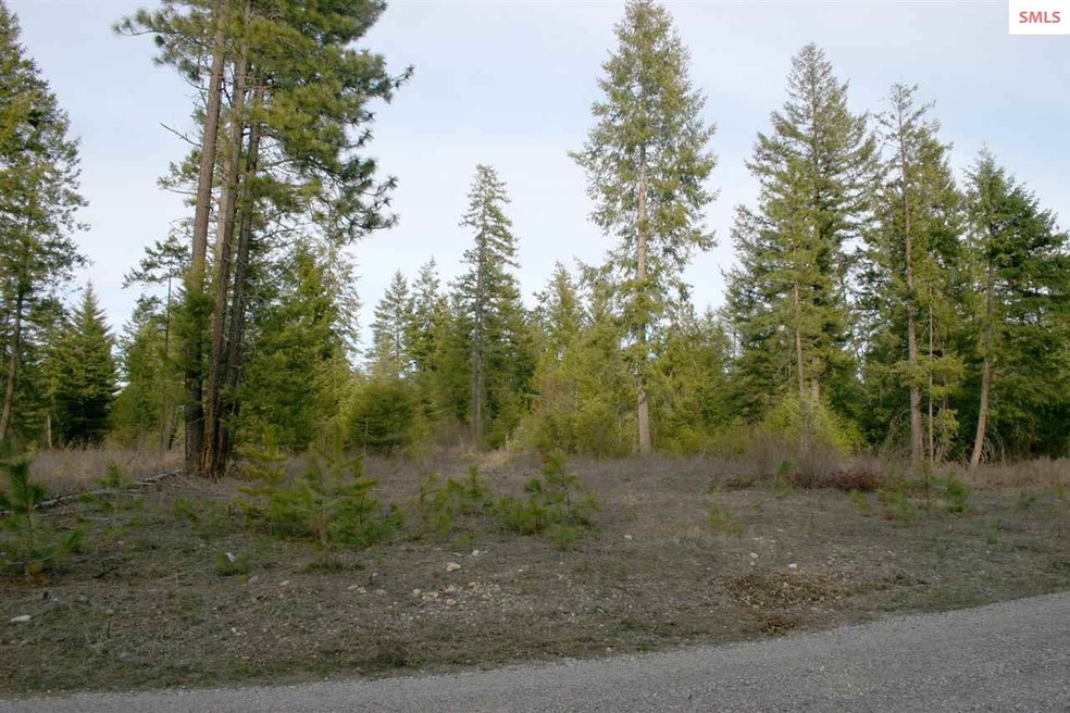 NNK B6 Northern Sky Rd, Athol, ID 83801 - photo 1