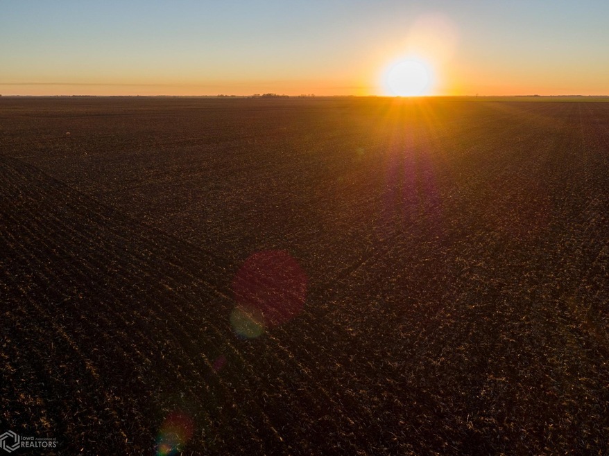 15989-photo-auctions-land-norman-county-minnesota-