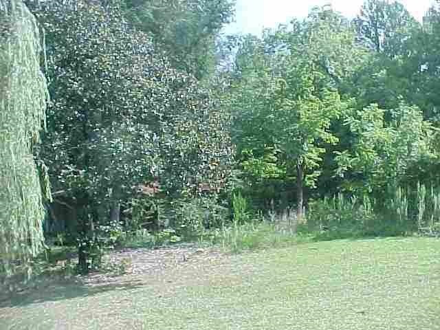 286 W H 7, Tamassee, SC 29686 - photo 1