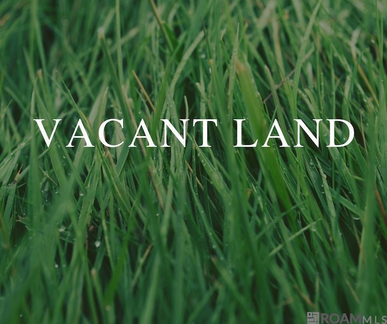 Lot 11 Buddy Ellis Rd, Denham Springs, LA 70726 - photo 1