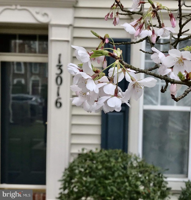 13016 Blacksmith Dr, Clarksburg, MD 20871 - photo 1