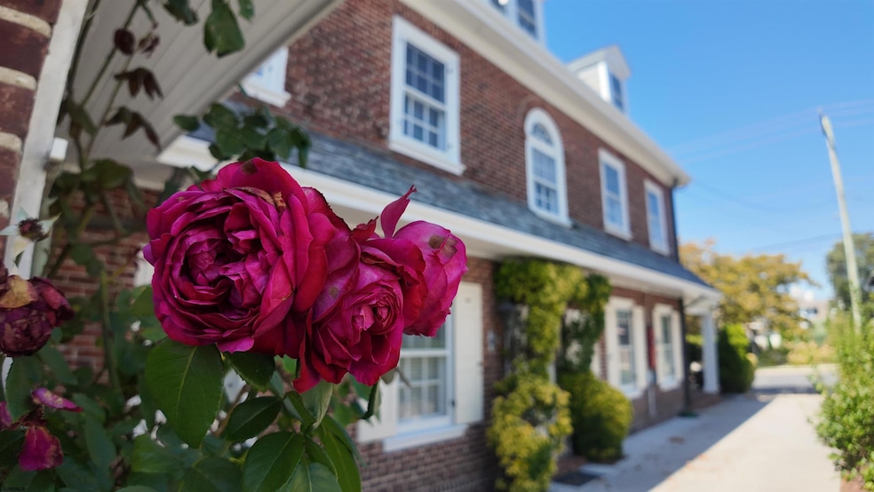 5904 Ventnor Ave, Ventnor City, NJ 08406 - photo 1