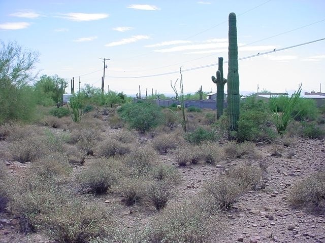 dsc00003