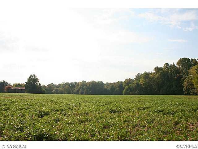 00 Edgar Rd, Ruther Glen, VA 22546 - photo 1