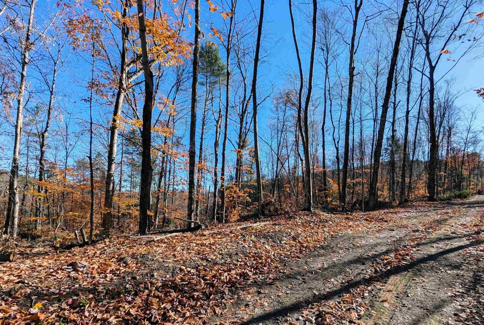 0 Dover Rd unit 5054979, Newfane, VT 05345 - photo 1