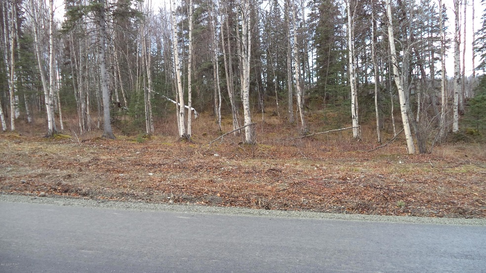 View of Lot from S Viewport Way