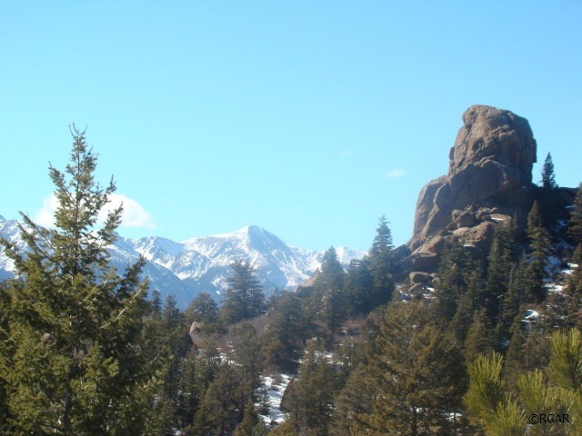 Main View