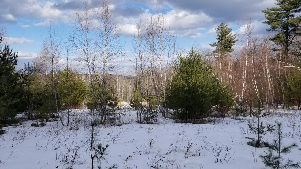 0 Hampshire St, Hiram, ME 04041 - photo 1