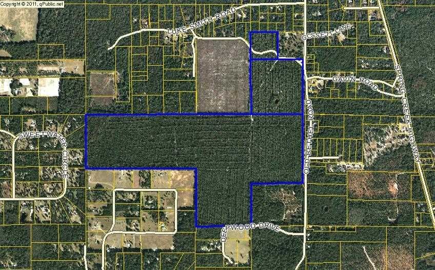 500 Old Bethel Rd, Crawfordville, FL 32327 - photo 1